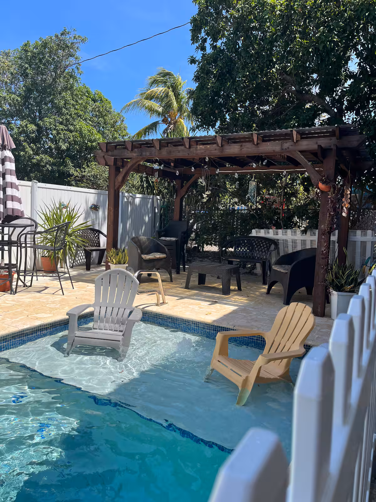 Backyard and pool area 4